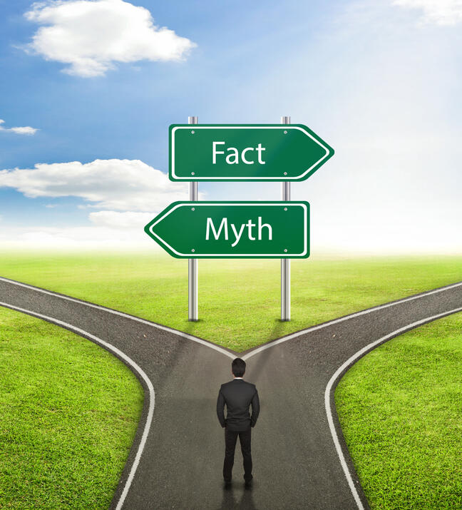 sustainabilityflashcourse man-standing-at-a-crossroads-between-fact-and-myth